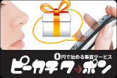 ���ʕ�V�W�q�T�[�r�X �s�[�J�`�N�[�|��