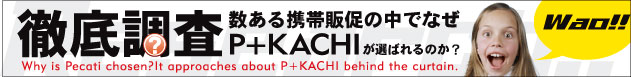 ������g�є̑��̒��łȂ�P+KACHI�͑I�΂��̂��H