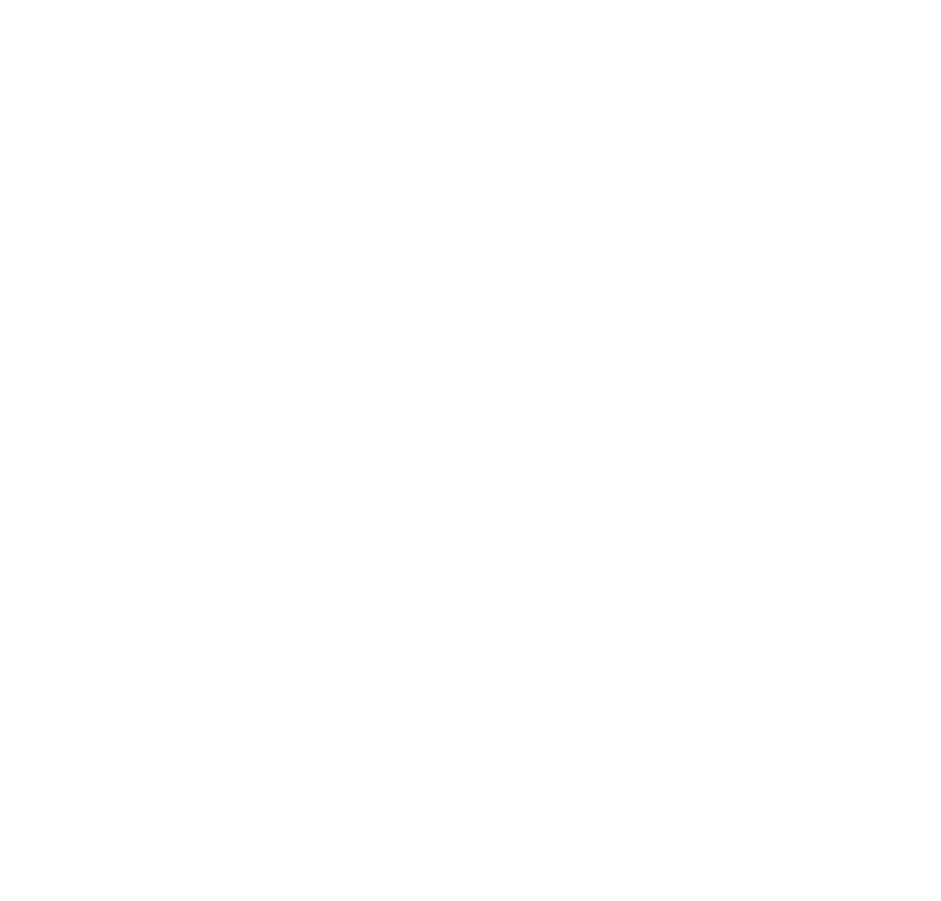 ネイルサロン向けピーカチシステム ポイントプラン